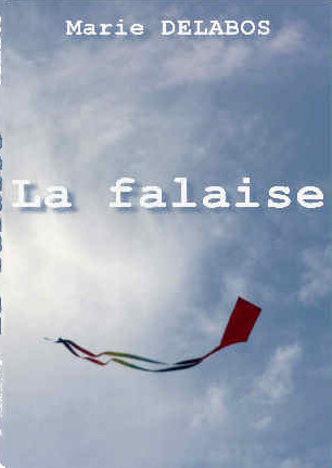 Photo  du livre: La Falaise par Marie Delabos