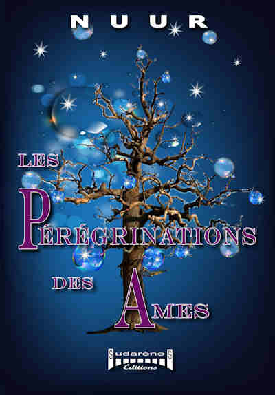 Photo du livre: Les pérégrinations des âmes par Nuur